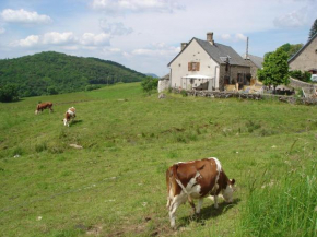  Chez Marraine  Сова